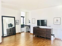 The Colonnade (D10), Condominium #496317031